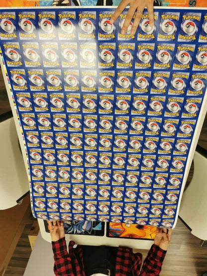 Pokemon Grass and Fire Themed Deck Uncut Sheet