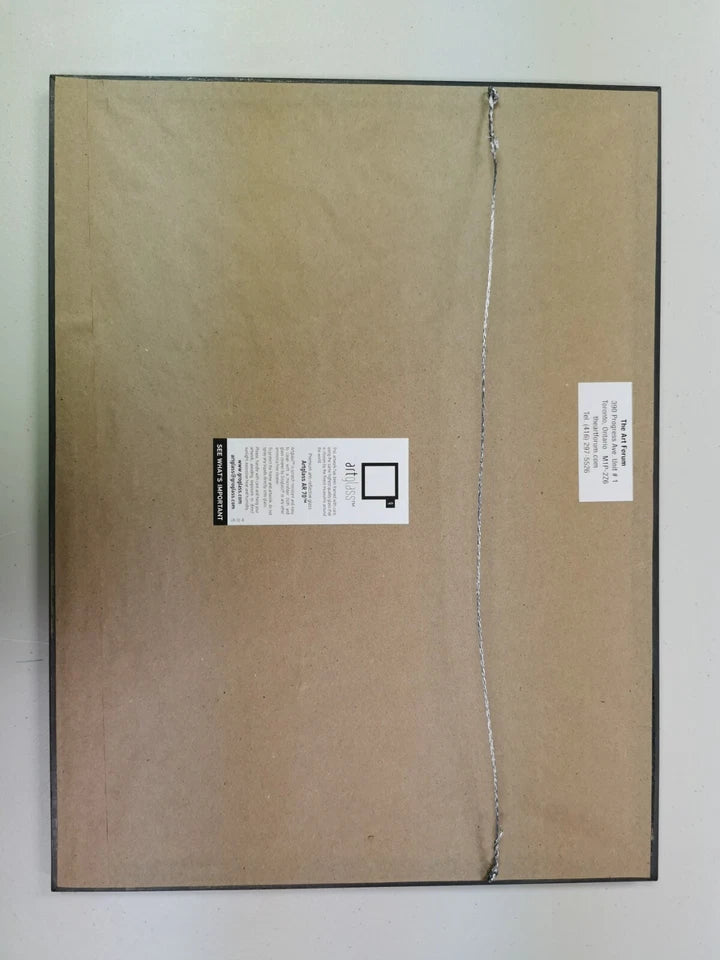 ONE PIECE Genga featuring Nami Inuarashi Nekomamushi Ep 772 FRAMED ART GLASS